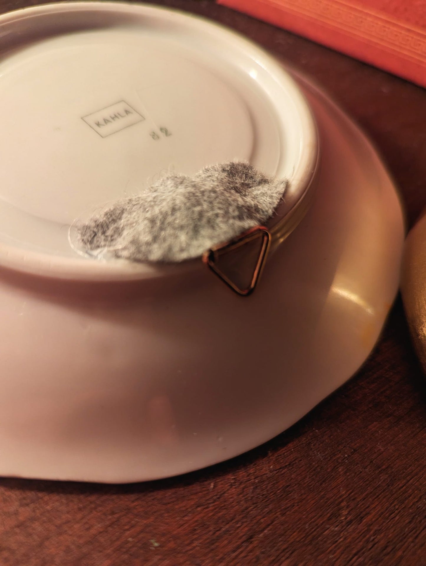 Cat in the shop window plate