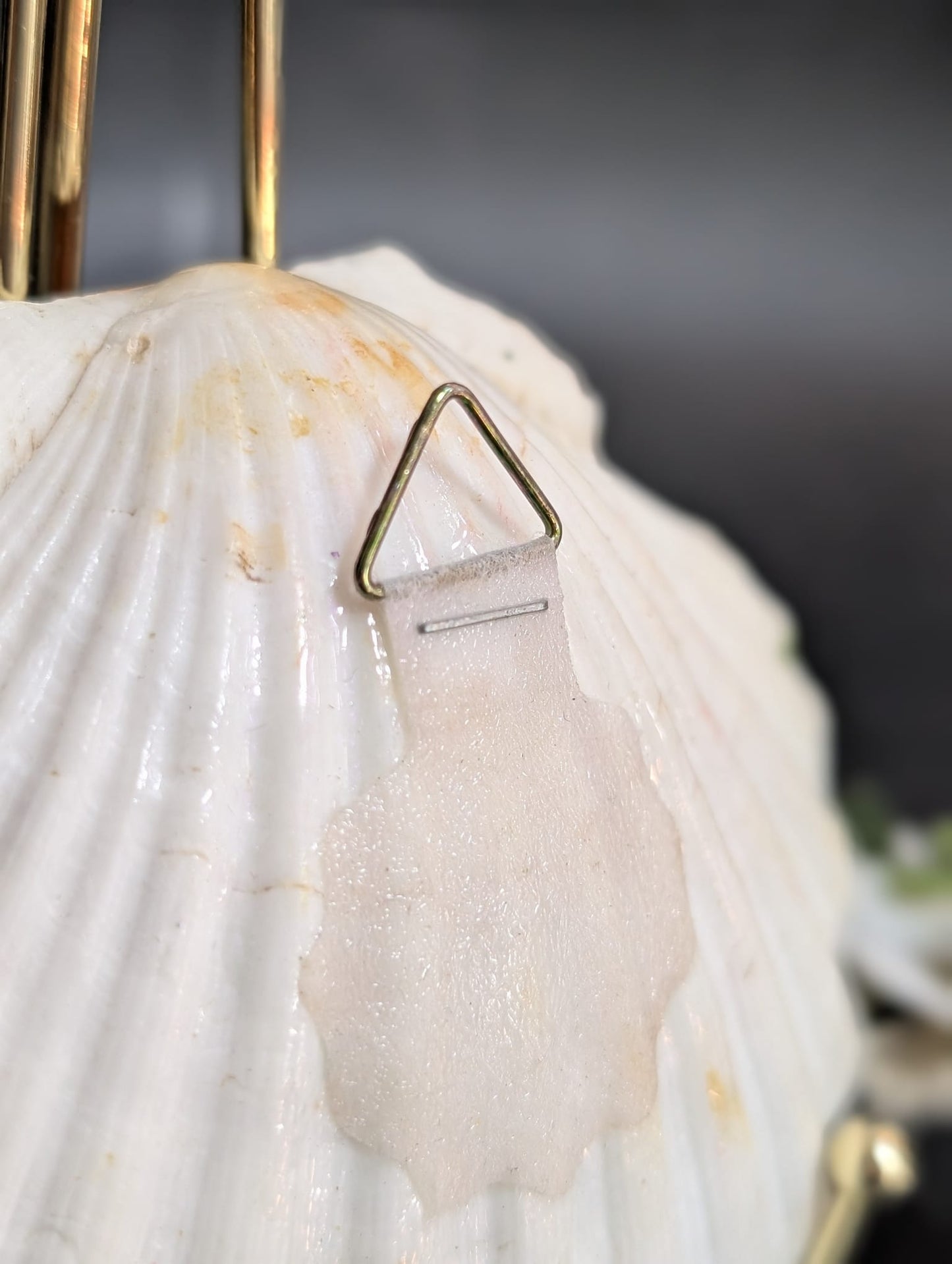 Romantic shell
