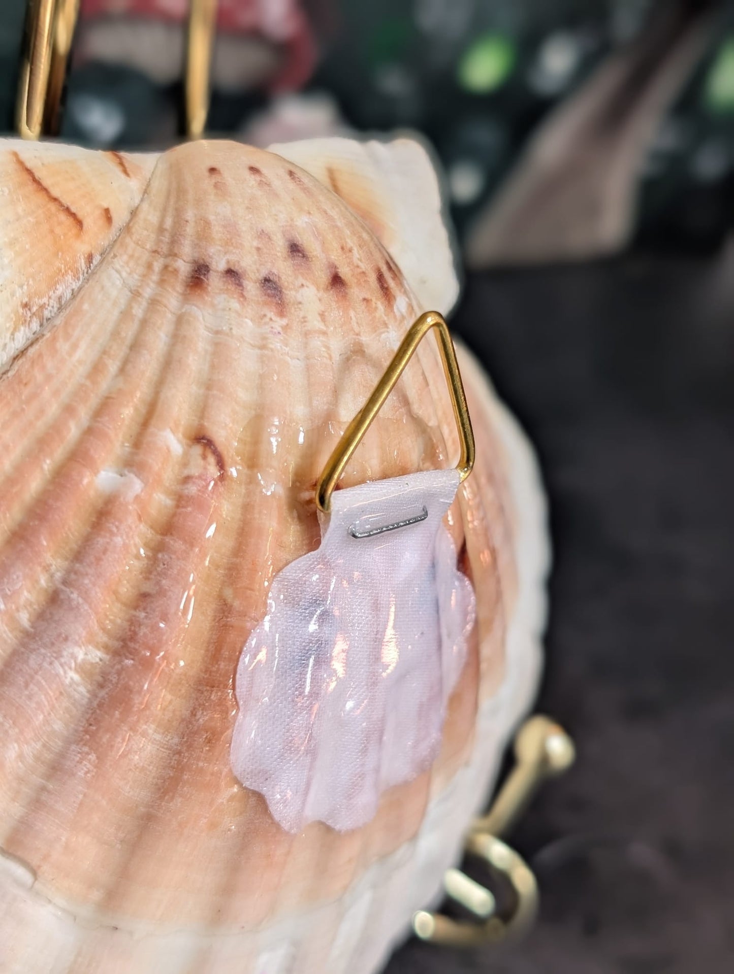 Romantic hand painted shell