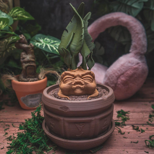 Mandrake Plant Pot jewelry or dice box - The Flaming Feather & Flaming Filament