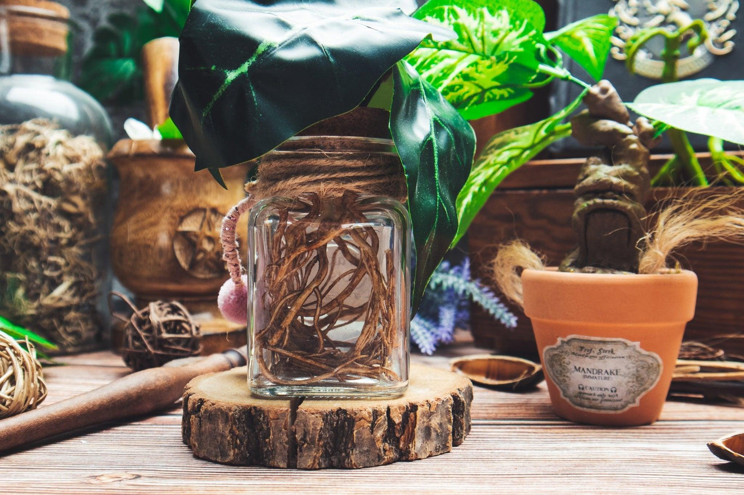 Mandrake roots - The Flaming Feather & Flaming Filament