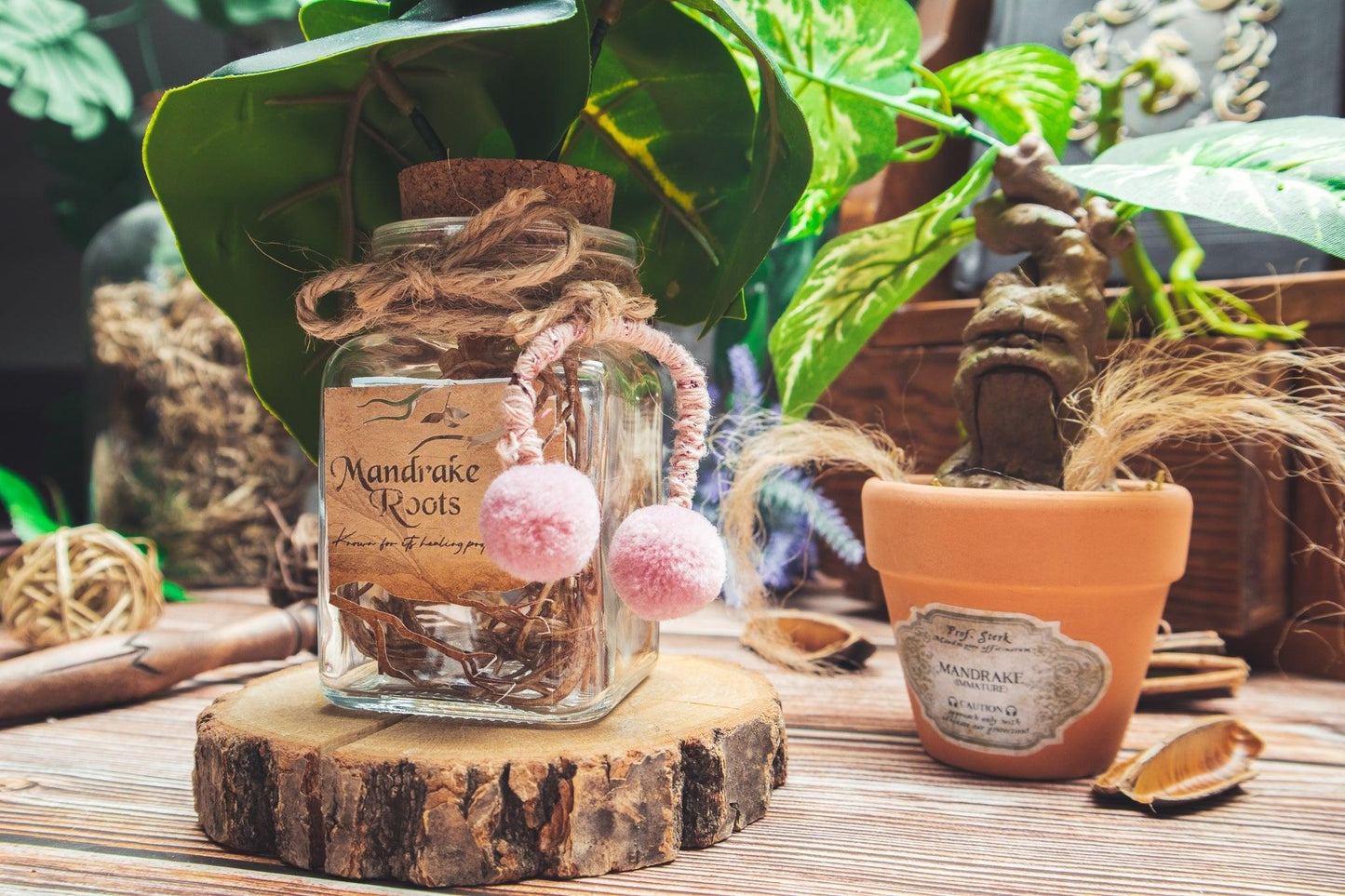 Mandrake roots - The Flaming Feather & Flaming Filament