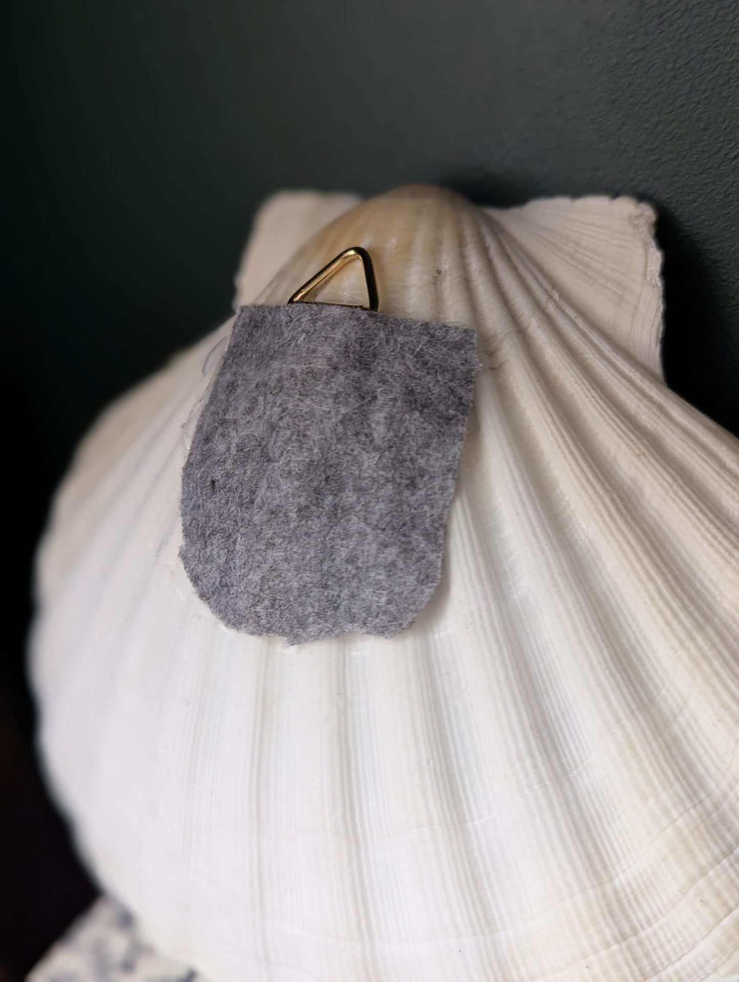 Dried flowers oyster shell