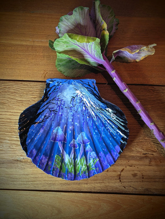 A magical nightly walk shell