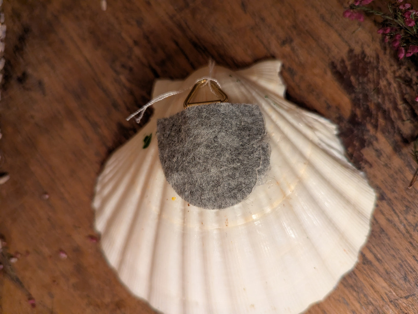 I must not tell lies shell