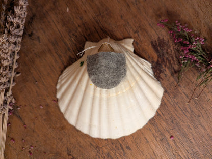 Little mushroom house in shell