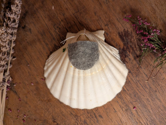 Little mushroom house in shell