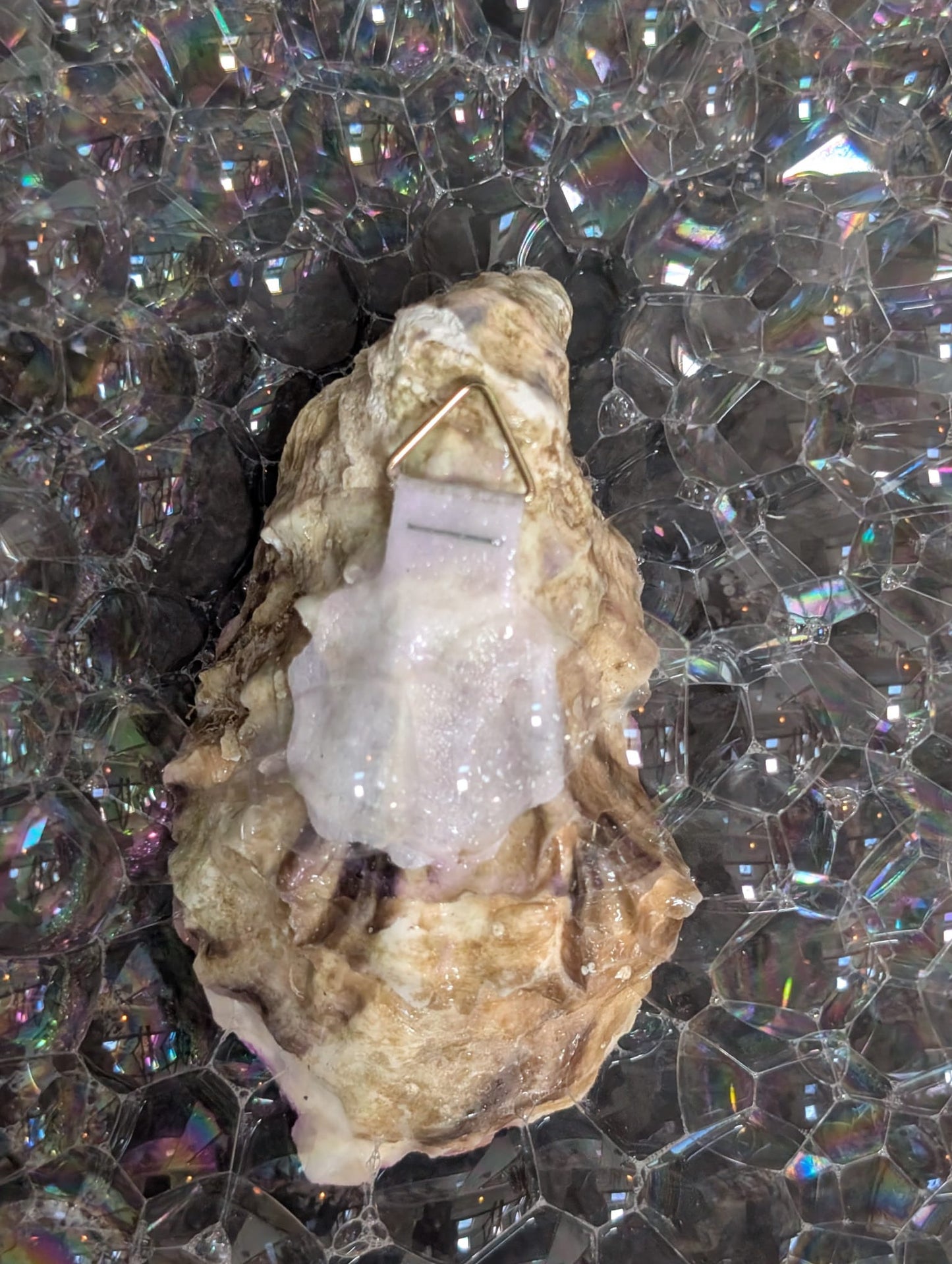 Decorative bubble Oyster