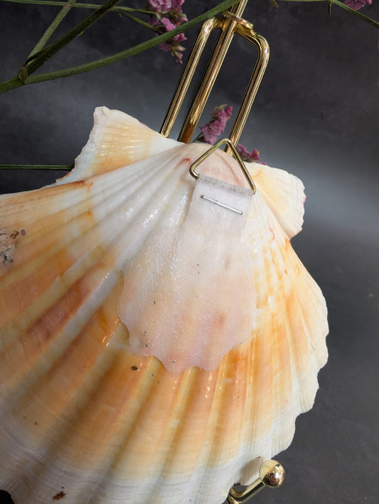 Romantic hand painted shell