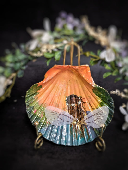 Romantic shell