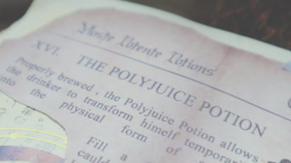 Polyjuice potion